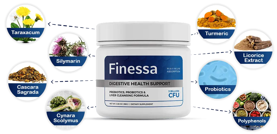 Finessa Official Website